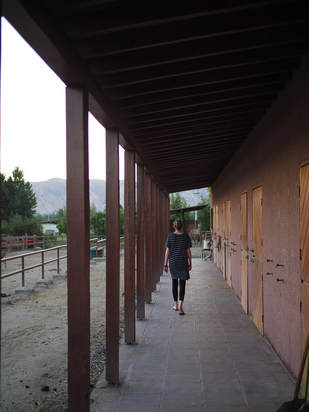 Alice walking next to the stables at sunset